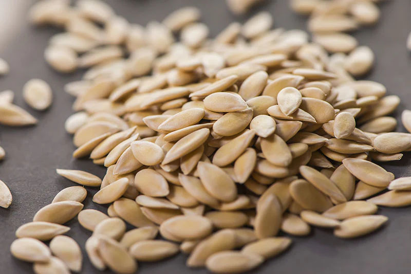 Musk Melon Seeds